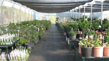 Nursery